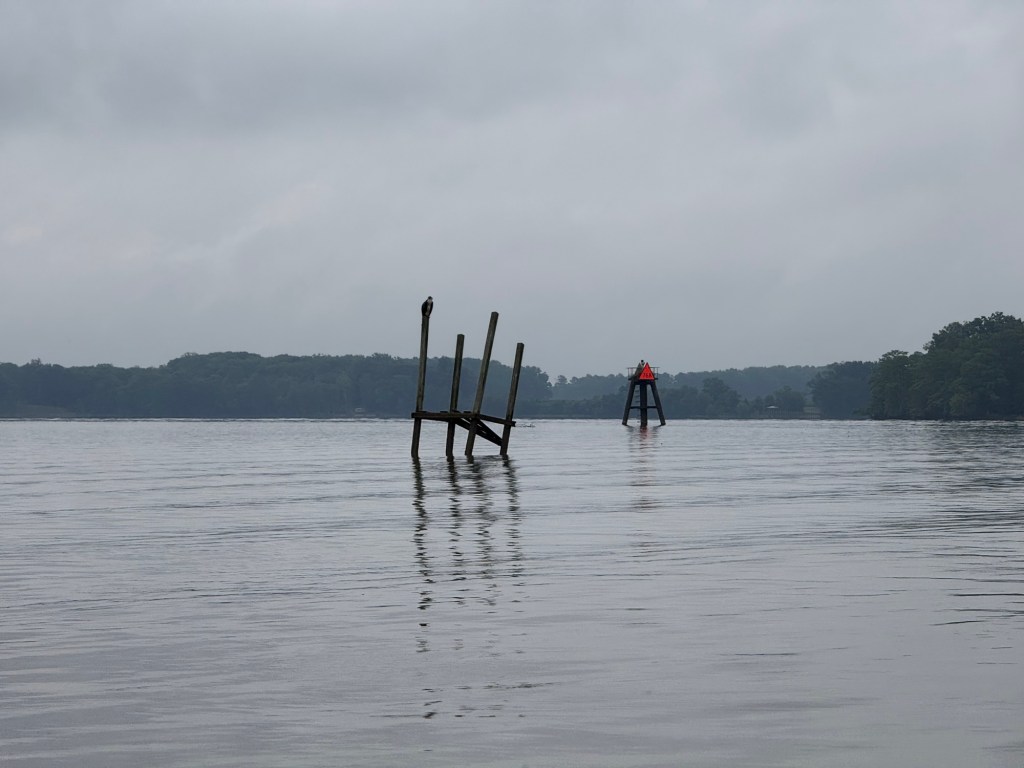 Day 72: Paddling Update